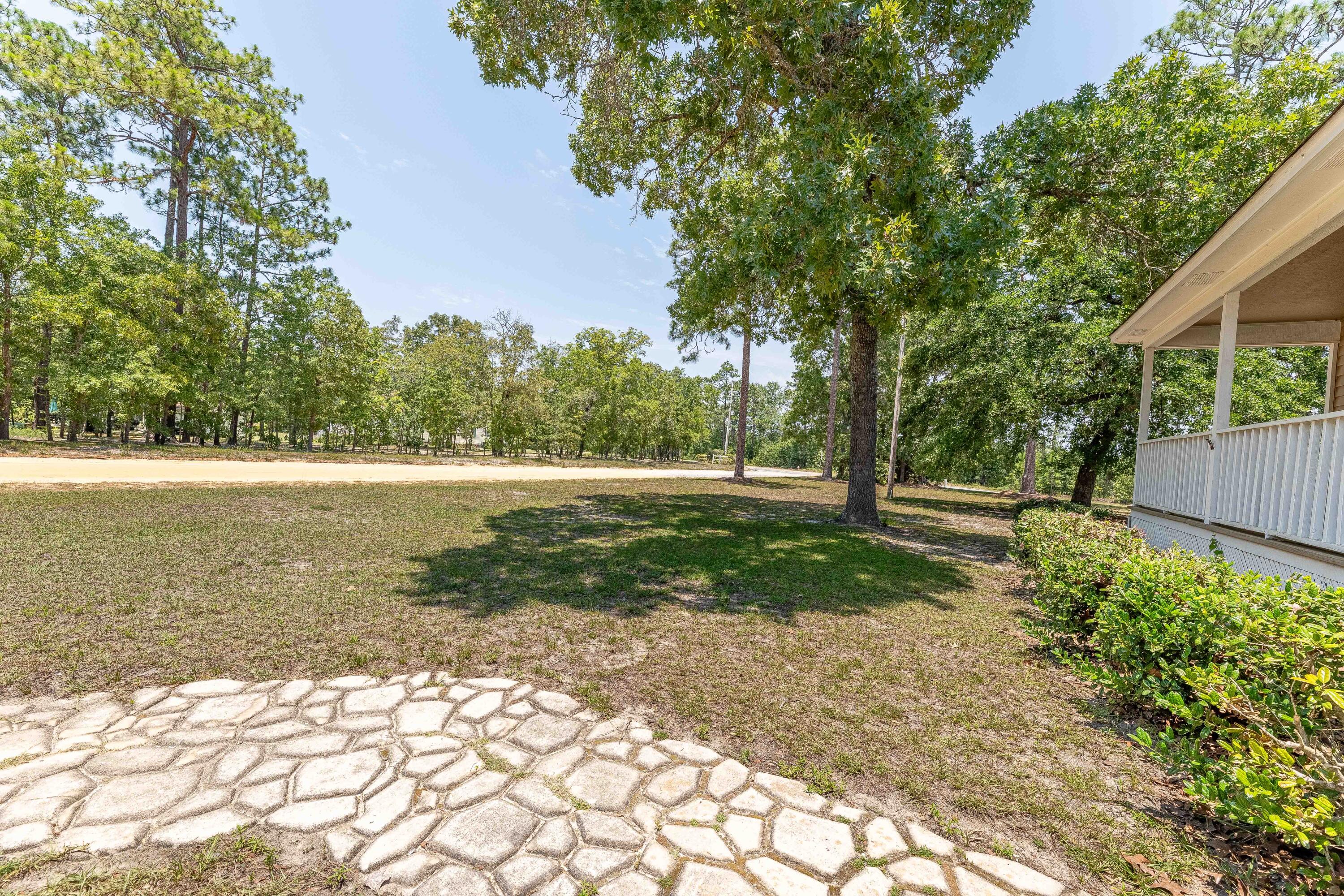111 Elaine Road Elloree, SC 29047 - Photo 3 of 27