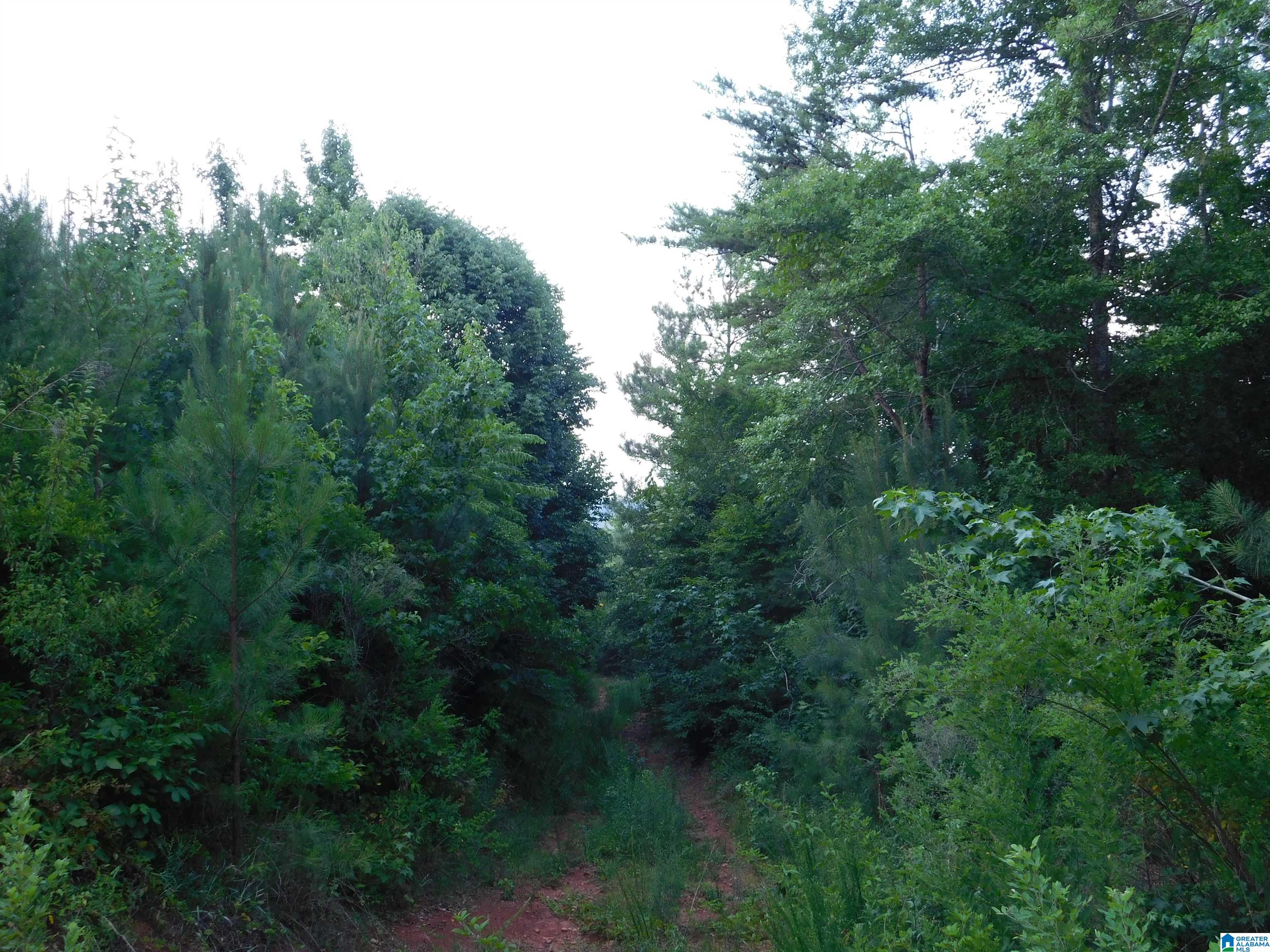 337 Lees Bridge Road, Unit 17 01 06 14 0 000 005 Delta, AL 36258 - Photo 2 of 8