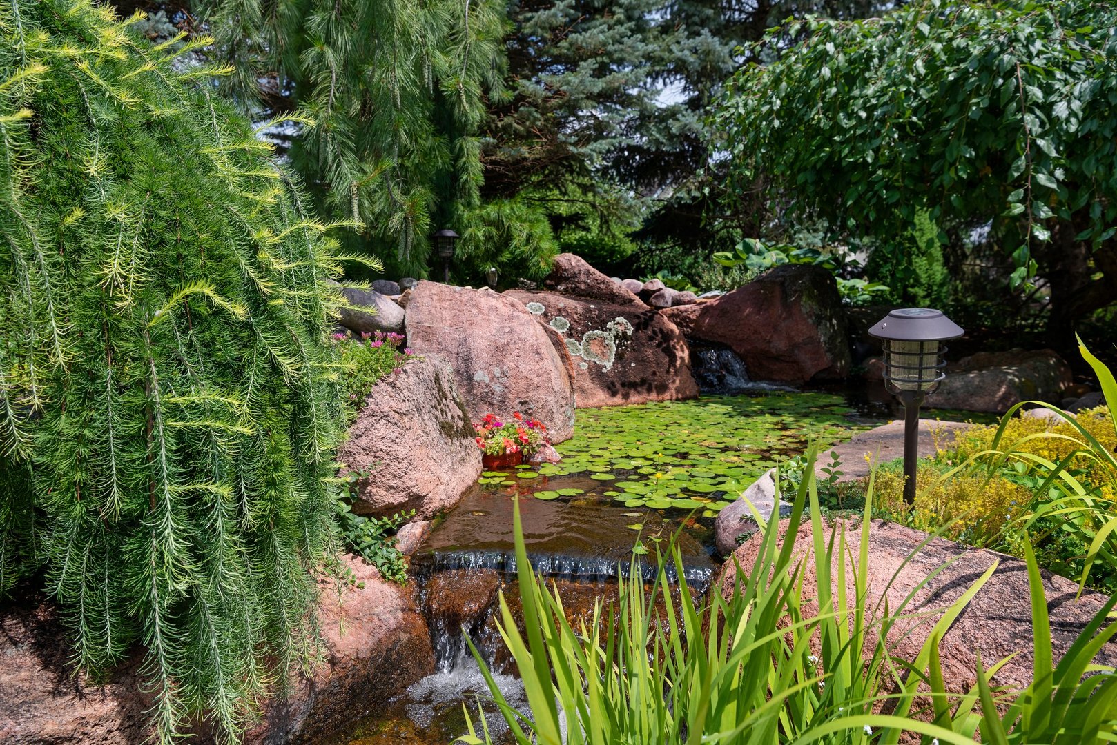 877 Elm Street Sugar Grove, IL 60554 - Photo 29 of 38 a view of a garden with plants