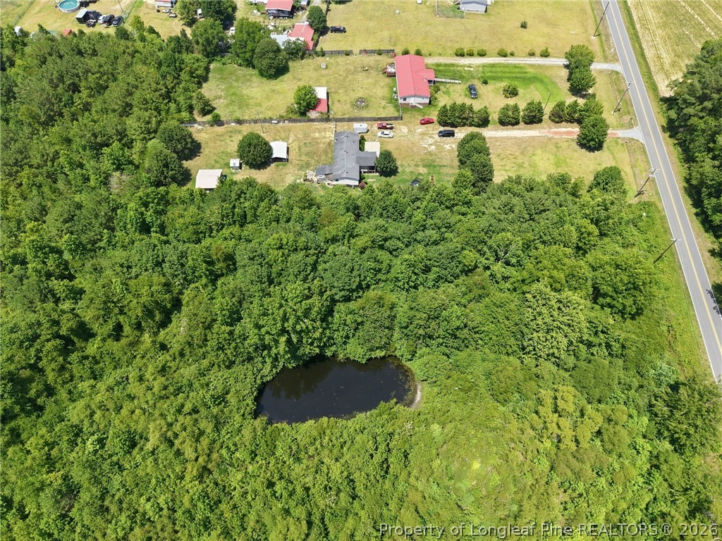 0 Boren Brick Road Roseboro, NC 28382 - Photo 10 of 15