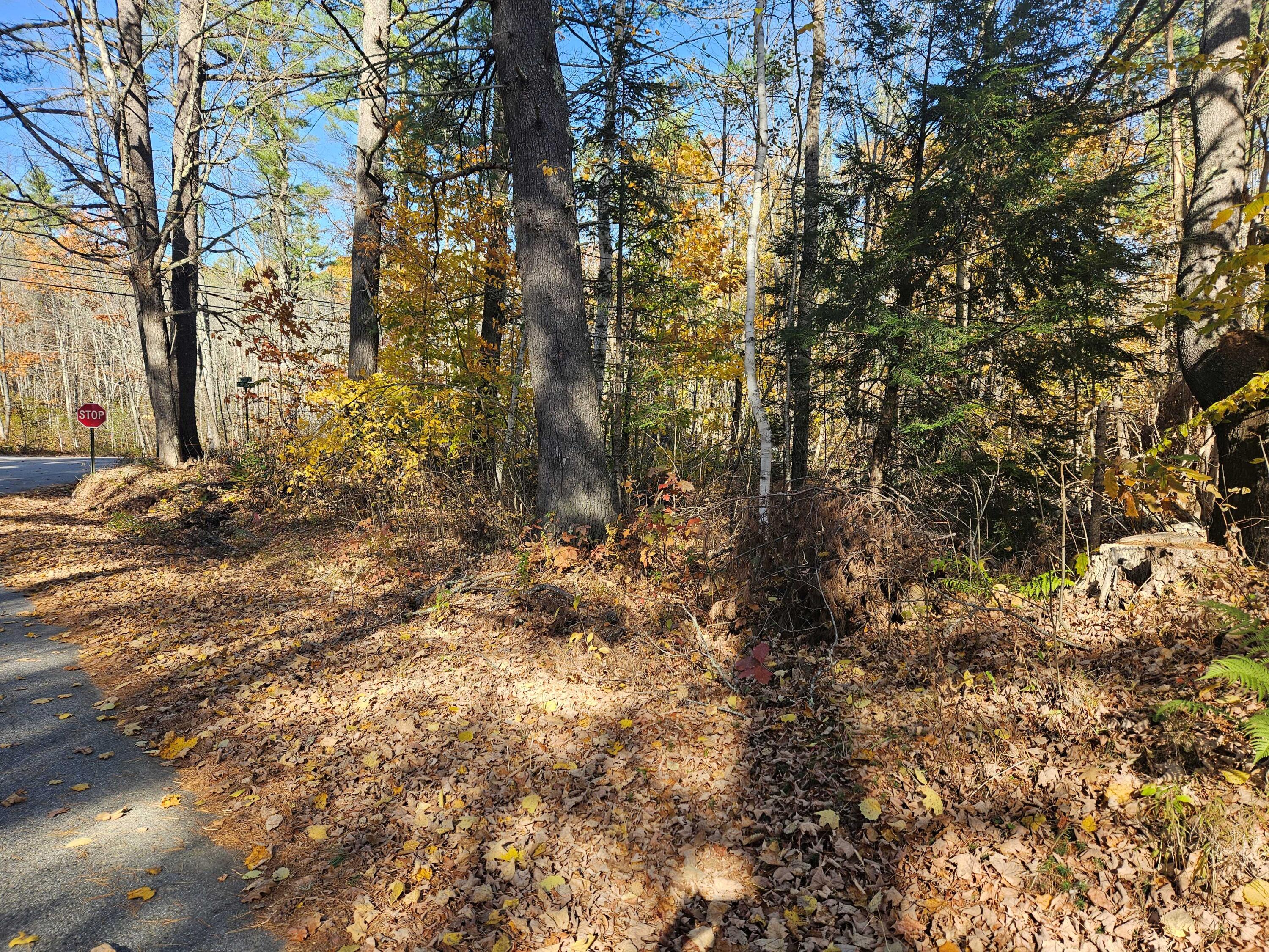 Lot #013 Staples Road West Newfield, ME 04095 - Photo 3 of 10 20241021_135512 (1)