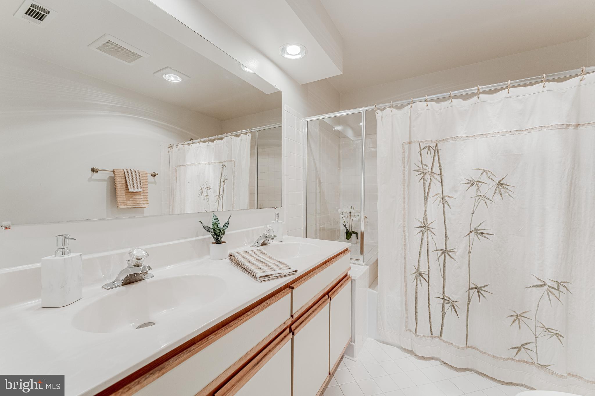 13603 Sir Thomas Way, Unit 2B33 Silver Spring, MD 20904 - Photo 13 of 31 Oversized Primary Bathroom