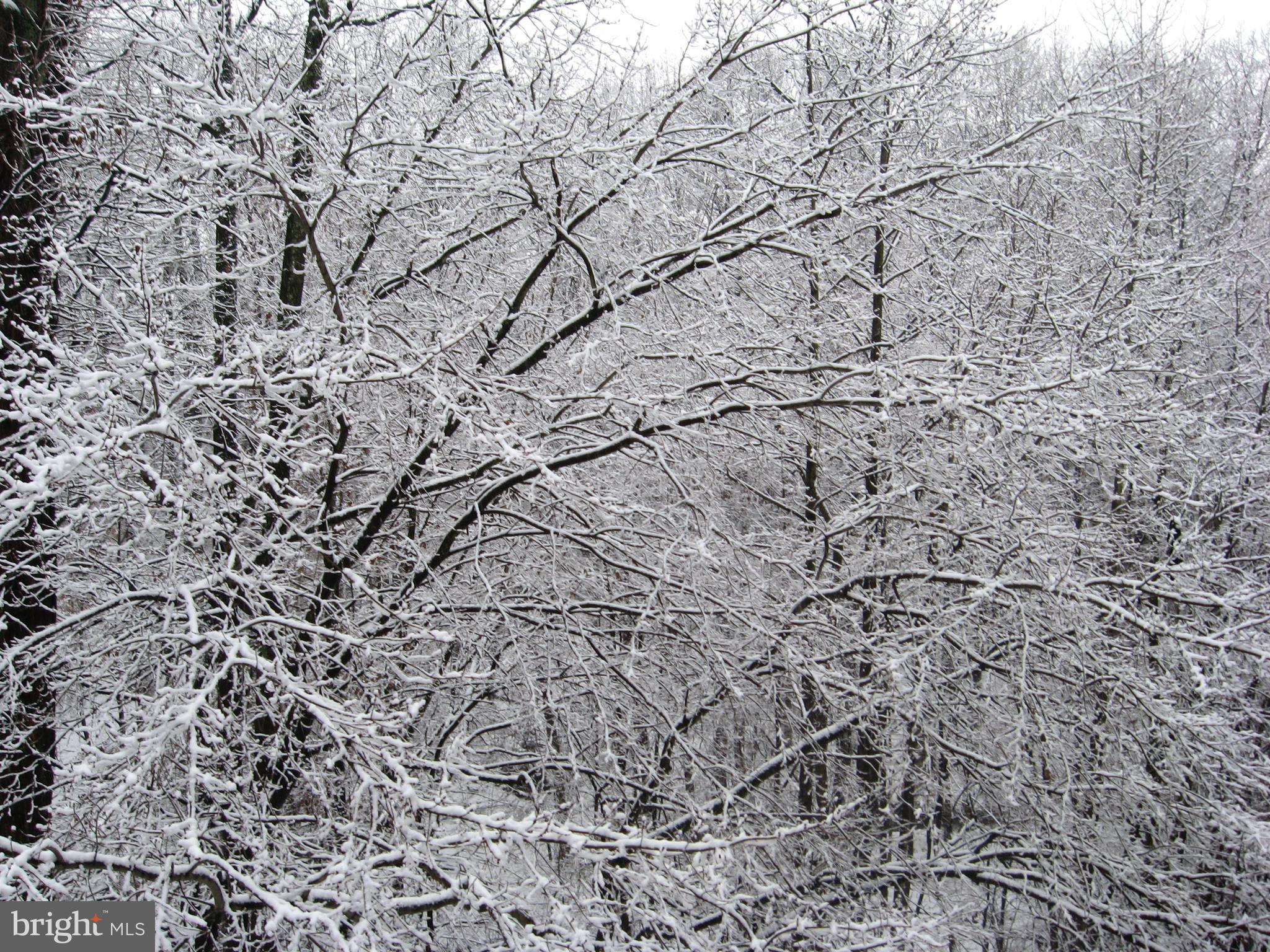 13603 Sir Thomas Way, Unit 2B33 Silver Spring, MD 20904 - Photo 22 of 31 Winter View from Balcony