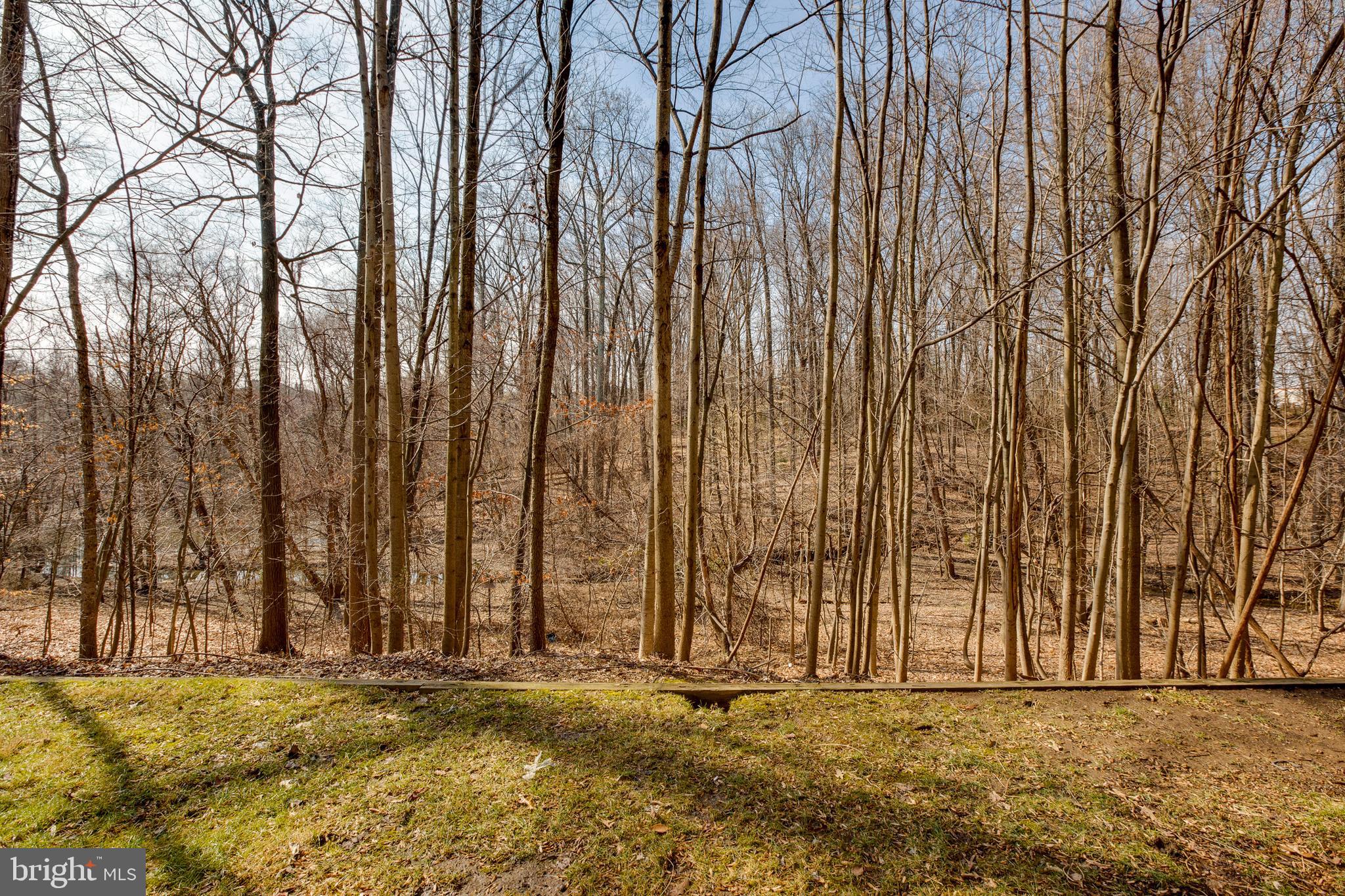 13603 Sir Thomas Way, Unit 2B33 Silver Spring, MD 20904 - Photo 23 of 31 Trees are recessed away from the building