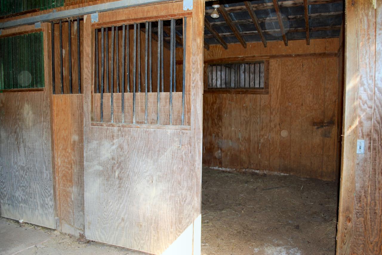 4 Mt Pleasant Church Road Fincastle, VA 24090 - Photo 18 of 25 Horse Stall