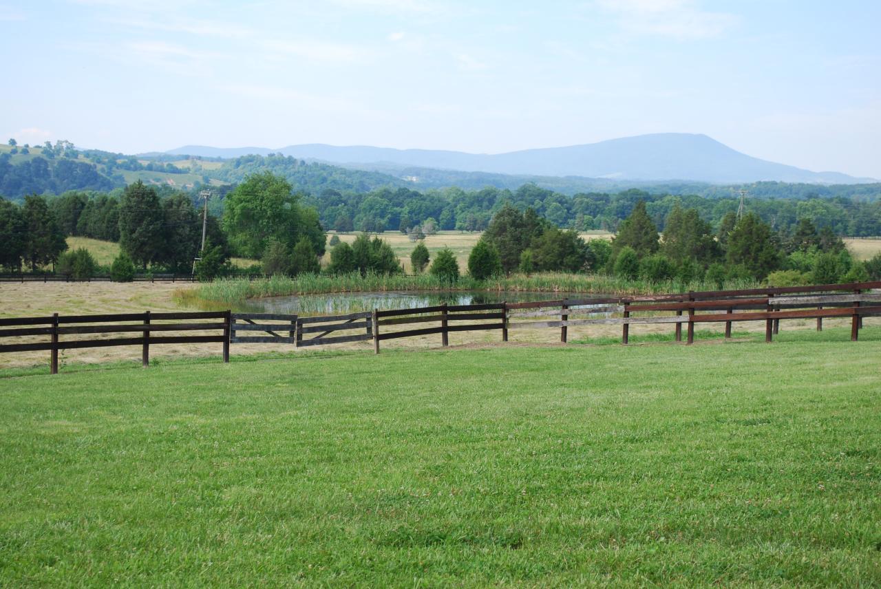 4 Mt Pleasant Church Road Fincastle, VA 24090 - Photo 23 of 25 View of Pasture with Pond