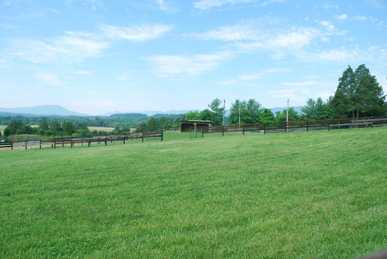 4 Mt Pleasant Church Road Fincastle, VA 24090 - Photo 24 of 25 Pasture