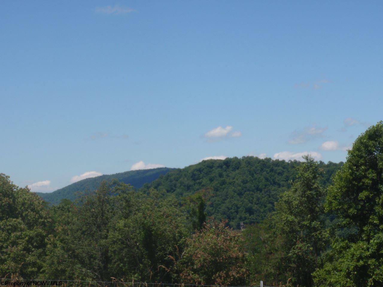 5160 Saltlick Road Terra Alta, WV 26764 - Photo 17 of 20 Gallery Image 17