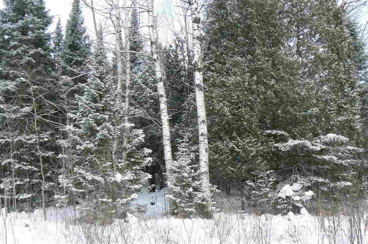 Tbd East Cold Springs Road Chatham, MI 49816 - Photo 16 of 21