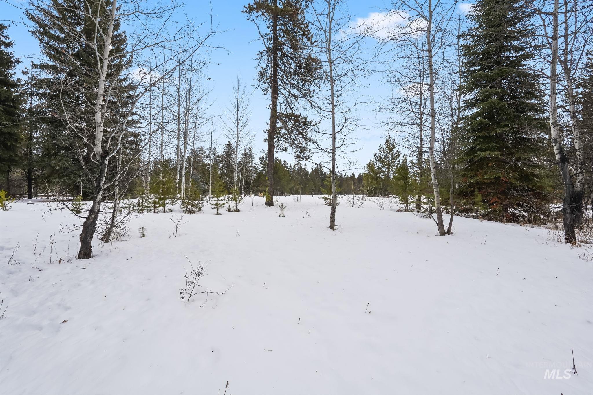 881 West Roseberry Road Donnelly, ID 83615 - Photo 3 of 24 View of yard layered in snow