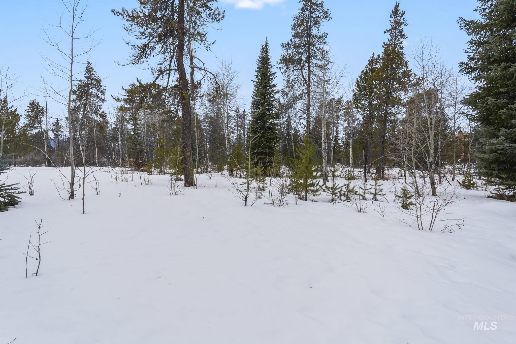 881 West Roseberry Road Donnelly, ID 83615 - Photo 6 of 24 View of snowy yard