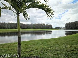 6039 Ellerston Way Avenue, Unit 2017 Immokalee, FL 34142 - Photo 18 of 34 a view of a large body of water surrounded by trees