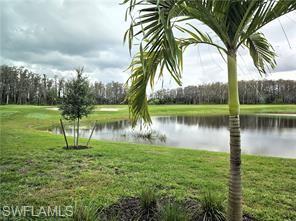 6039 Ellerston Way Avenue, Unit 2017 Immokalee, FL 34142 - Photo 19 of 34 a view of a lake view with a big yard and palm trees