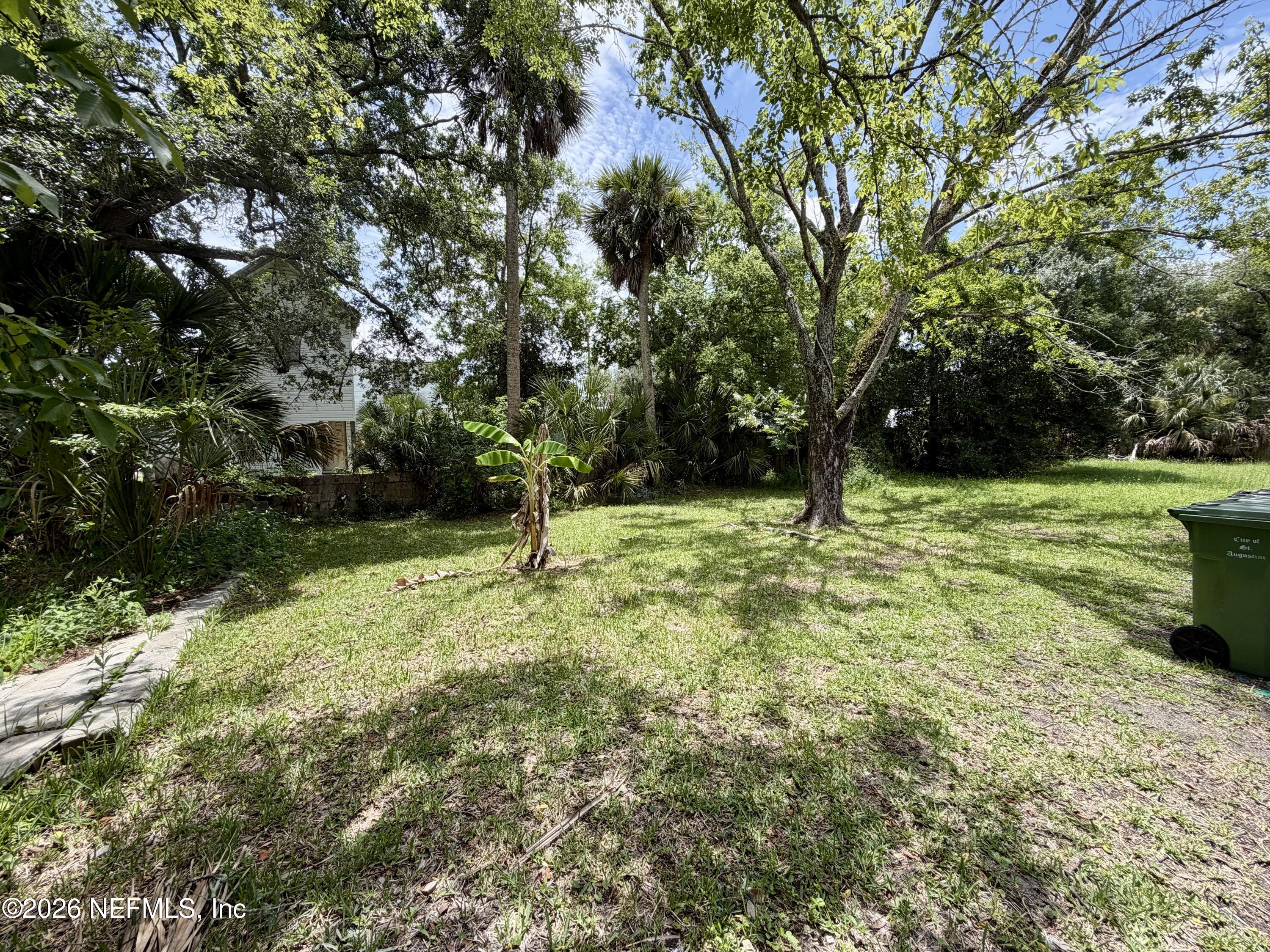 153 Twine Street St. Augustine, FL 32084 - Photo 24 of 30 153 Twine - Backyard