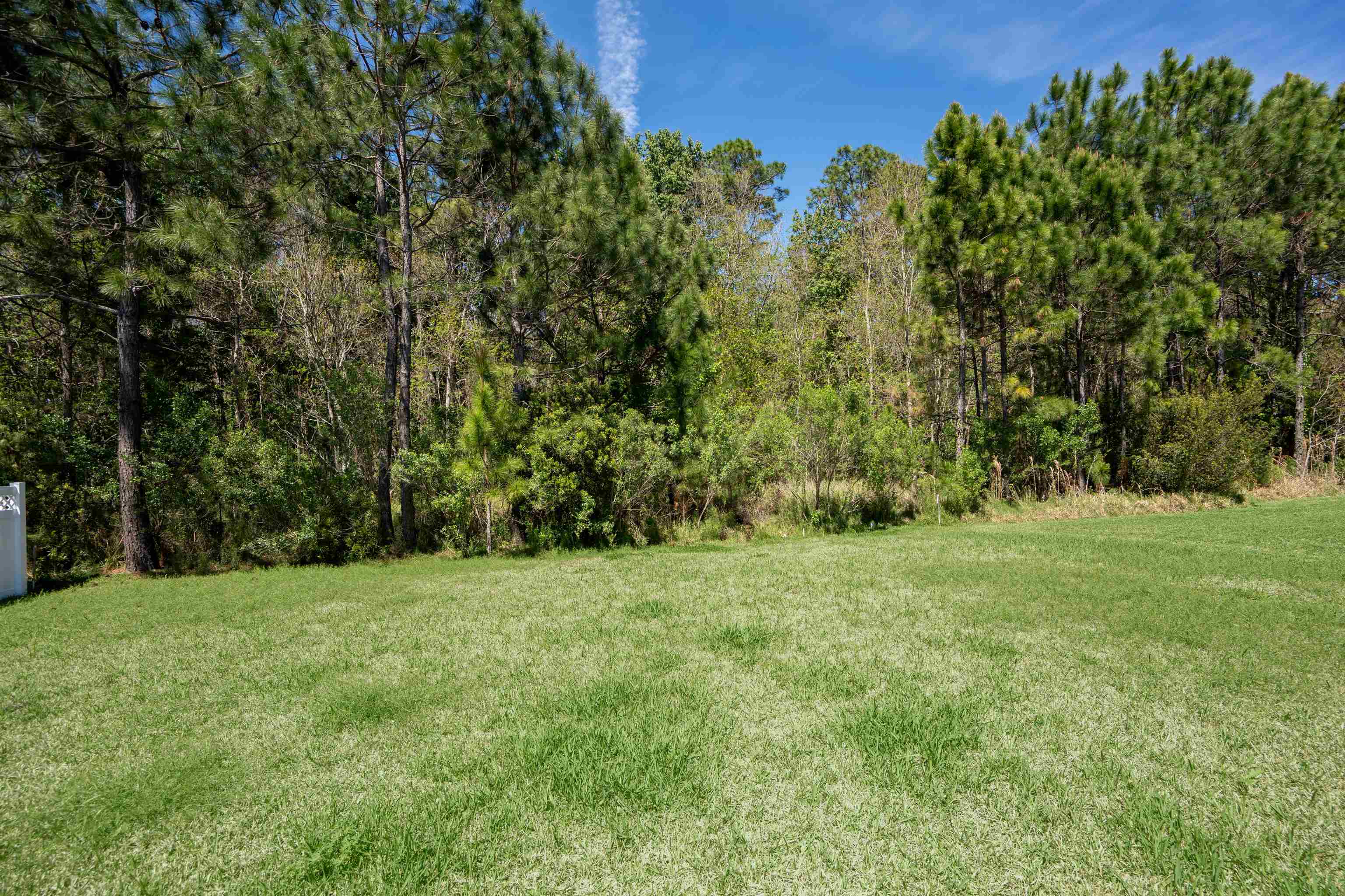 207 Archstone Way St. Augustine, FL 32092 - Photo 43 of 49 a view of a field with trees in the background
