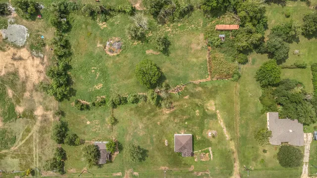 a backyard of a house with plants and large trees