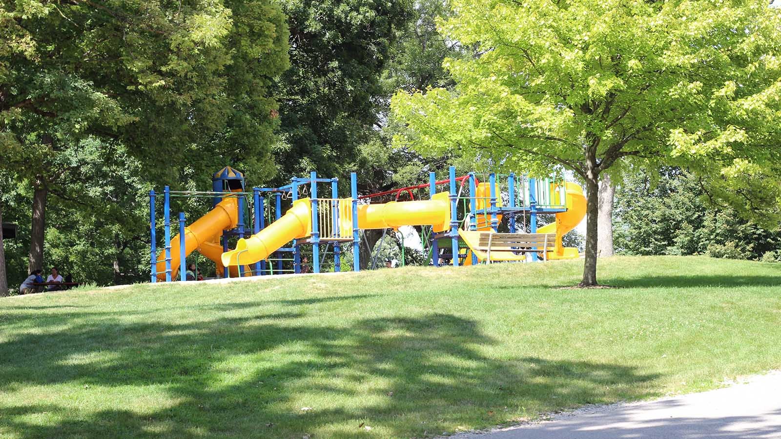 313 Snowdrop Lane Elgin, IL 60124 - Photo 58 of 61 a view of a park with slide