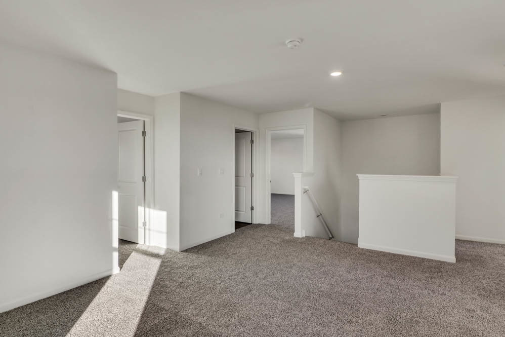 313 Snowdrop Lane Elgin, IL 60124 - Photo 10 of 61