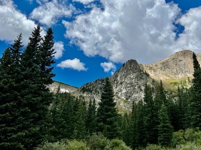 1111 Mine Road Idaho Springs, CO 80452 - Photo 1 of 9 Gallery Image 1