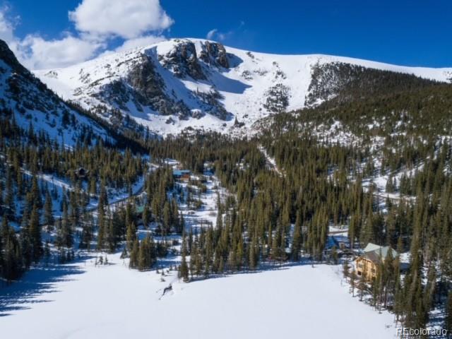 1111 Mine Road Idaho Springs, CO 80452 - Photo 3 of 9 Gallery Image 3