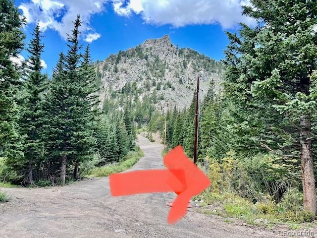 1111 Mine Road Idaho Springs, CO 80452 - Photo 5 of 9 Gallery Image 5