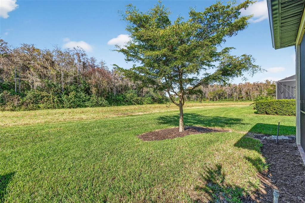 5821 Mayflower Way Ave Maria, FL 34142 - Photo 27 of 36 a view of a golf course