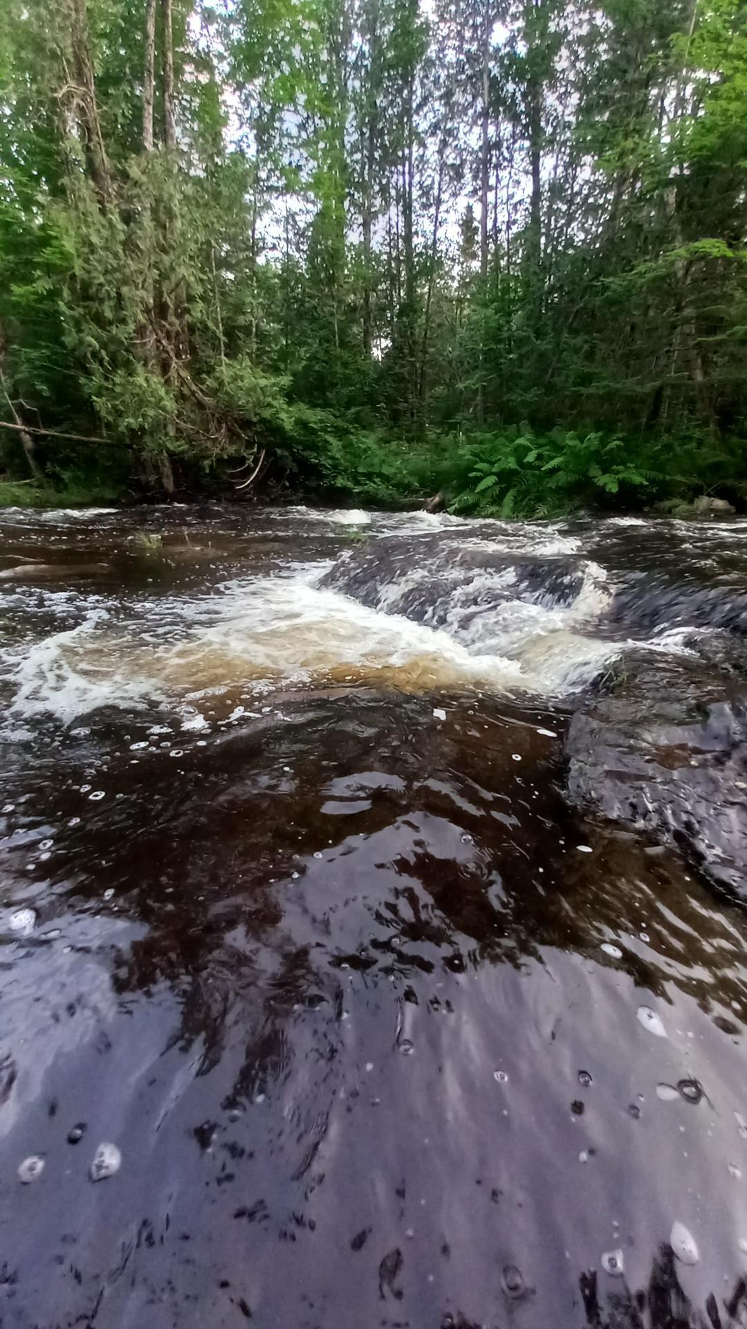 649 NORTH Rd Mount Mount Chase, ME 04765 - Photo 2 of 10 pro-L0saMWl3
