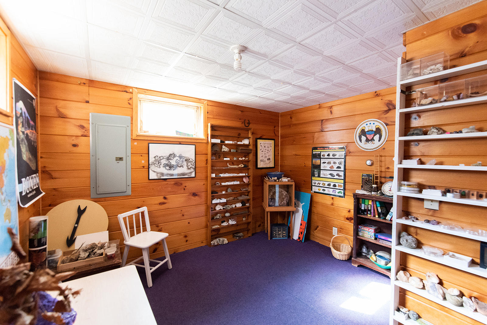 555 Dyke Mountain Road Sebago, ME 04029 - Photo 46 of 54 MBCO-50
