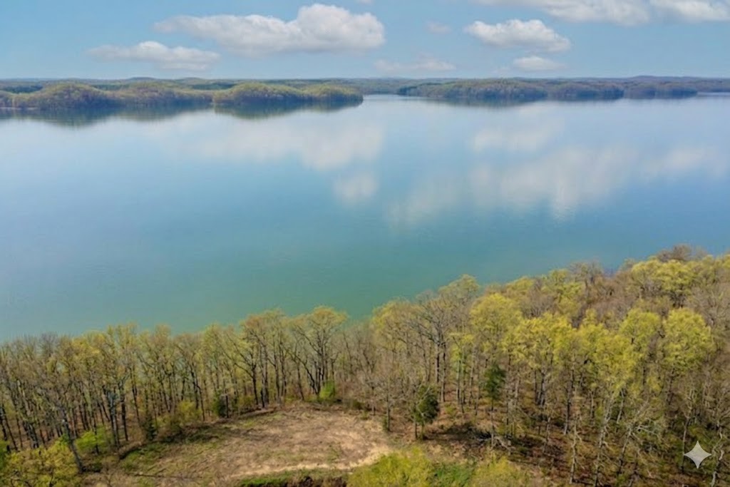 100 Sunset Ridge Waverly, TN 37185 - Photo 1 of 27 a view of a lake view