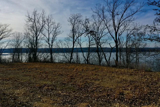 a view of backyard with wooden fence