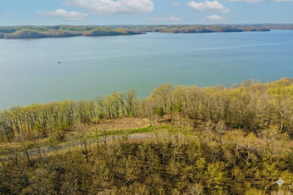 100 Sunset Ridge Waverly, TN 37185 - Photo 14 of 27 a view of an ocean