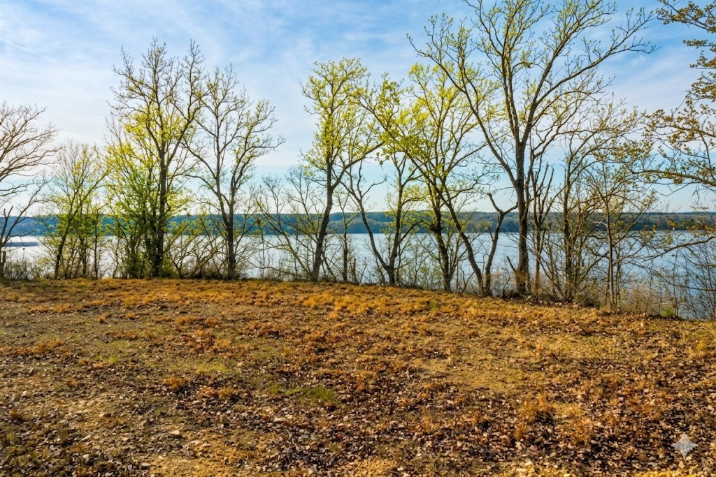 100 Sunset Ridge Waverly, TN 37185 - Photo 17 of 27 a view of a yard with a tree