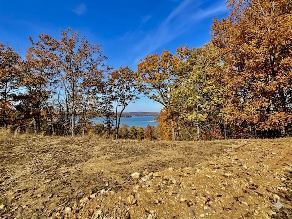 100 Sunset Ridge Waverly, TN 37185 - Photo 25 of 27 a view of ocean