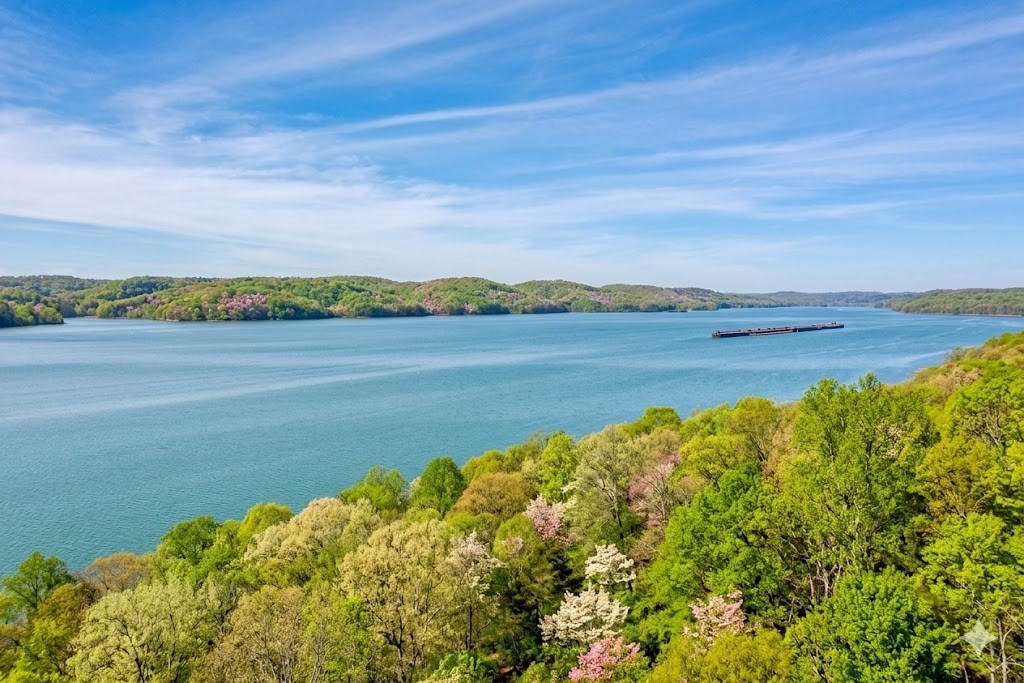 100 Sunset Ridge Waverly, TN 37185 - Photo 4 of 27 a view of an ocean and beach
