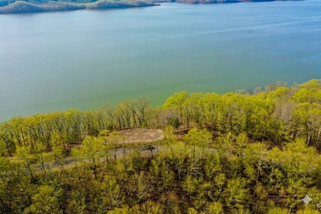 100 Sunset Ridge Waverly, TN 37185 - Photo 5 of 27 a view of a lake view