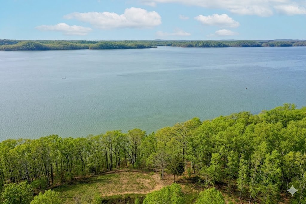 100 Sunset Ridge Waverly, TN 37185 - Photo 6 of 27 a view of lake view and mountain view