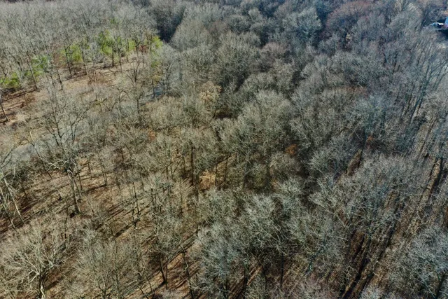 a view of a covered with green space