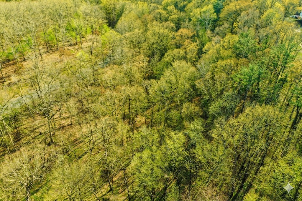 100 Sunset Ridge Waverly, TN 37185 - Photo 10 of 27 a view of a yard of a building