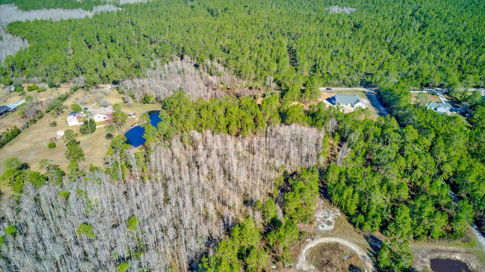 0 Rodeo Acres Drive Ormond Beach, FL 32174 - Photo 4 of 20 a view of a garden with a tree