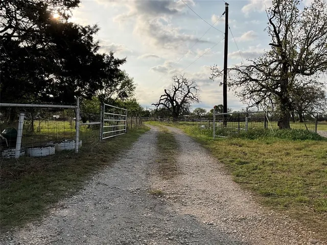 a view of a lake with a palm trees