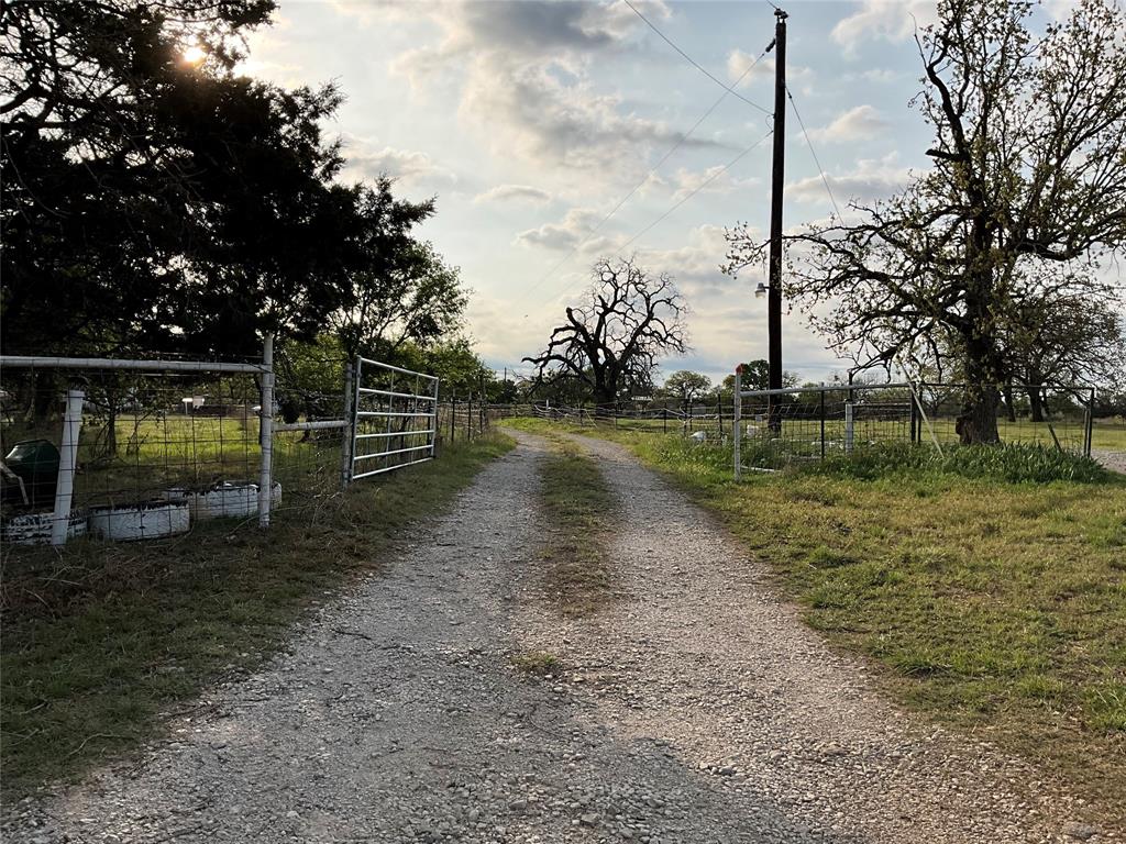 a view of a lake with a palm trees
