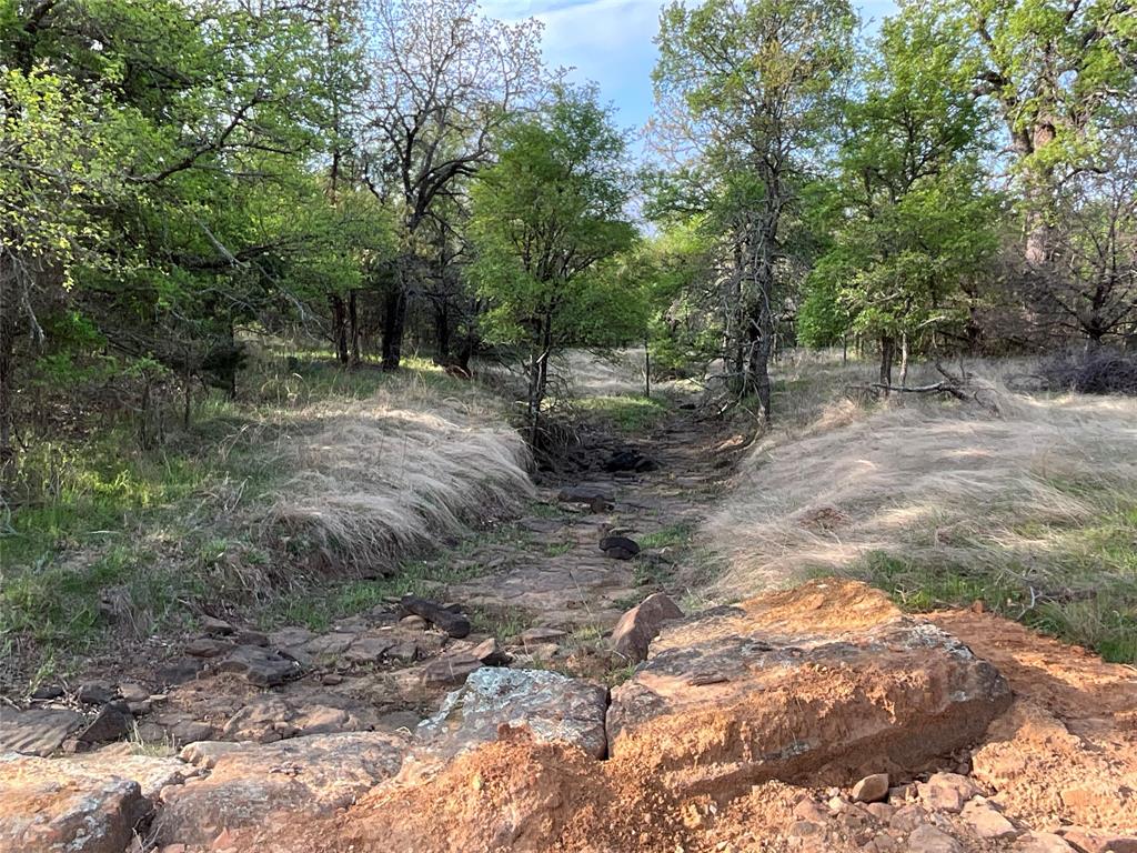 2991 Village Bend Road Mineral Wells, TX 76067 - Photo 7 of 23 a view of a forest with trees in the background