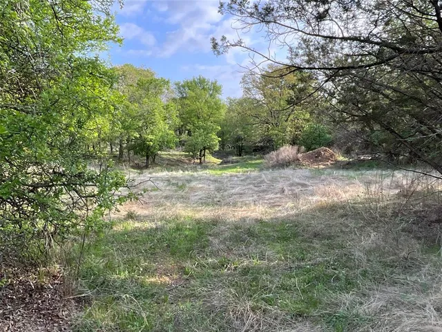 a view of a tree with a yard