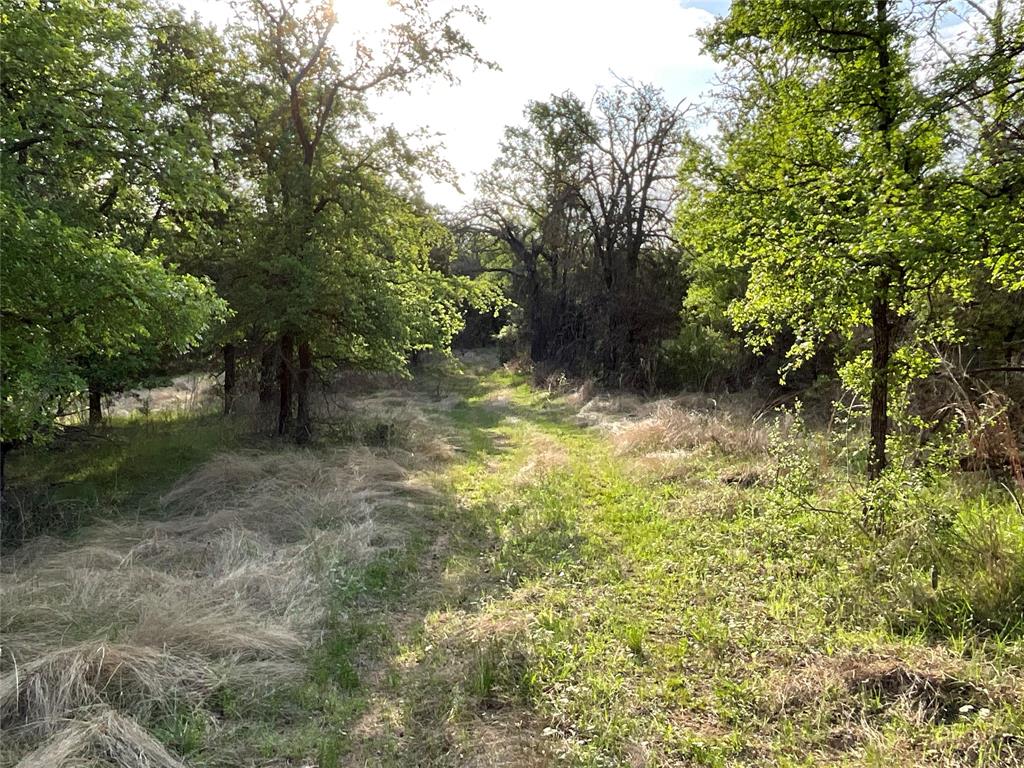 2991 Village Bend Road Mineral Wells, TX 76067 - Photo 9 of 23 a view of a tree with a yard