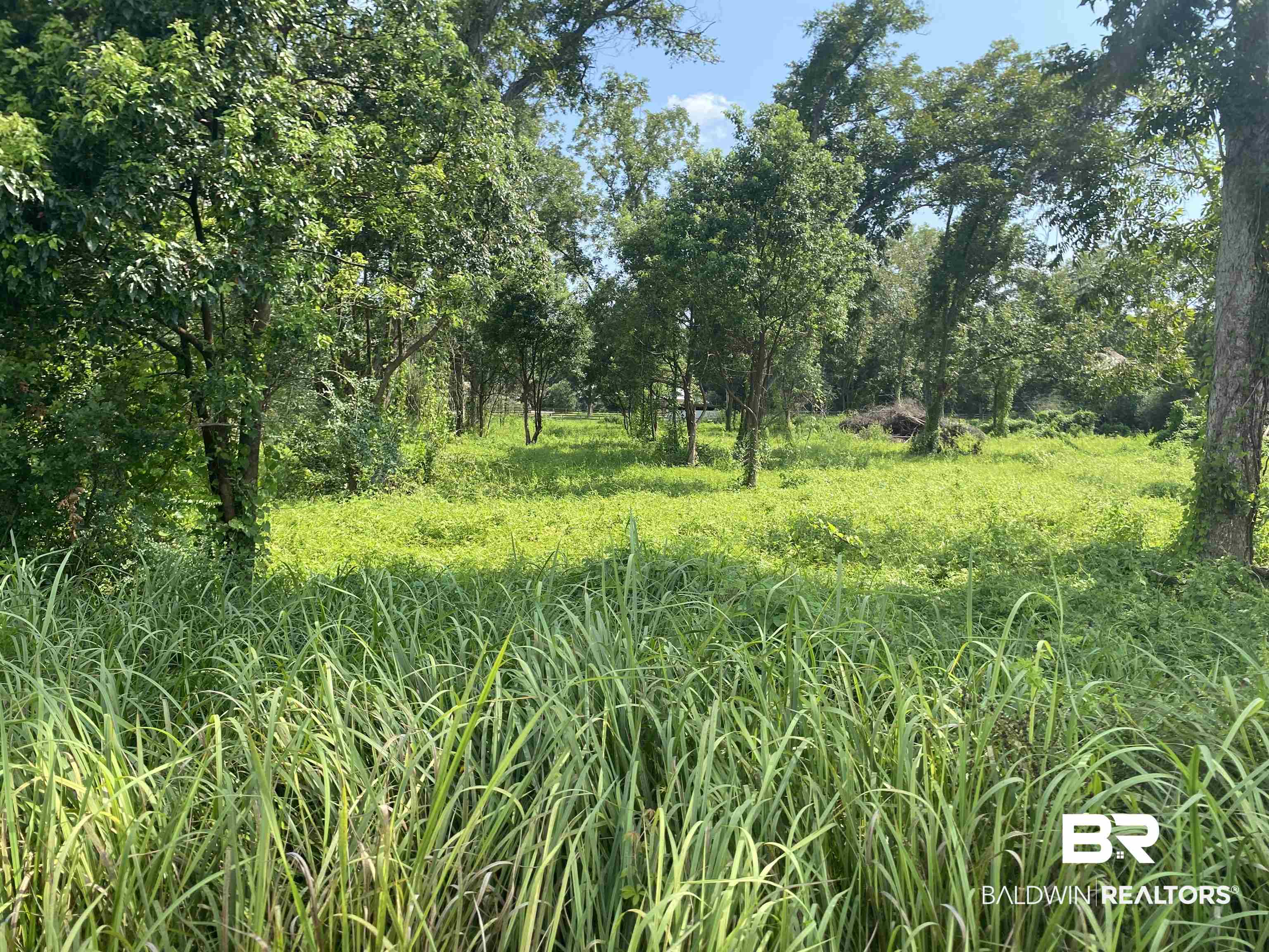 16827 Engel Lane Foley, AL 36535 - Photo 4 of 10 View from Engel Ln