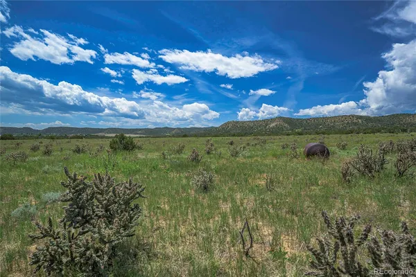 $380,000 | 71.1 County Road, Trinidad, CO 81082