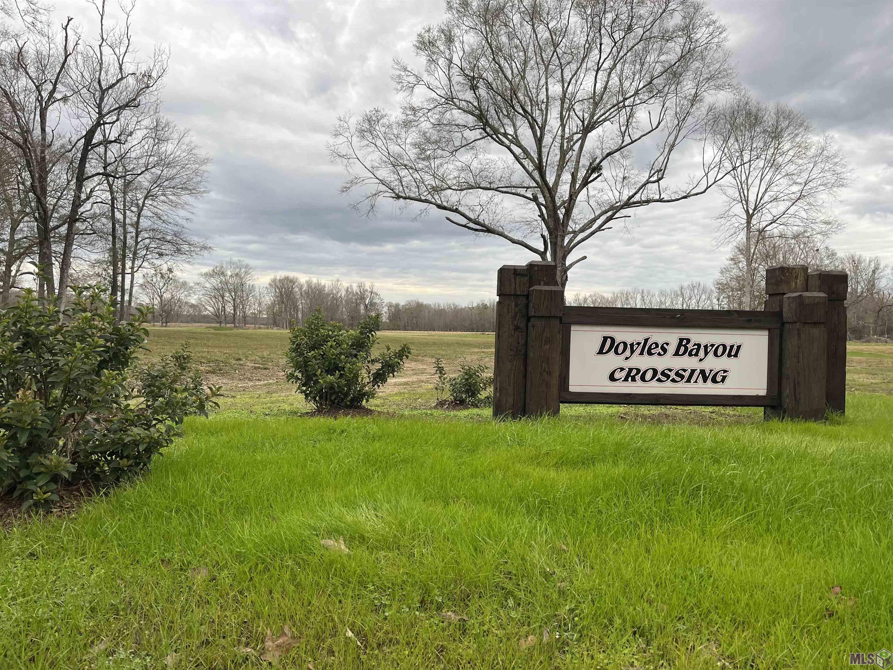 0 Lemon Road Slaughter, LA 70777 - Photo 1 of 7 Doyle's Bayou