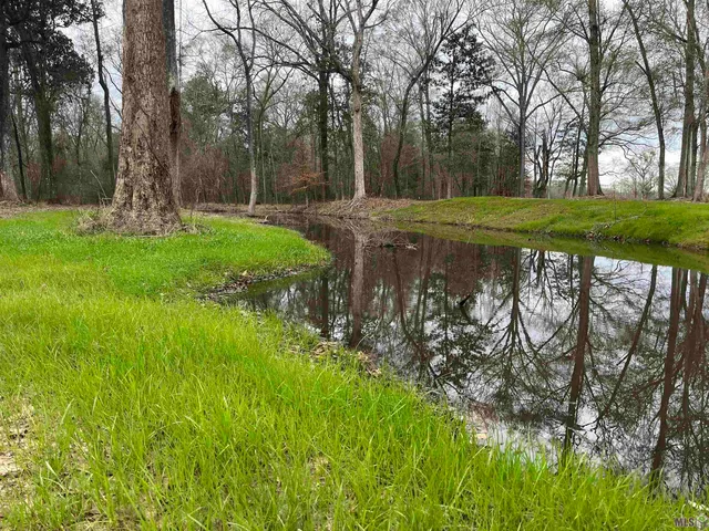 $86,900 | 0 Lemon Road, Slaughter, LA 70777