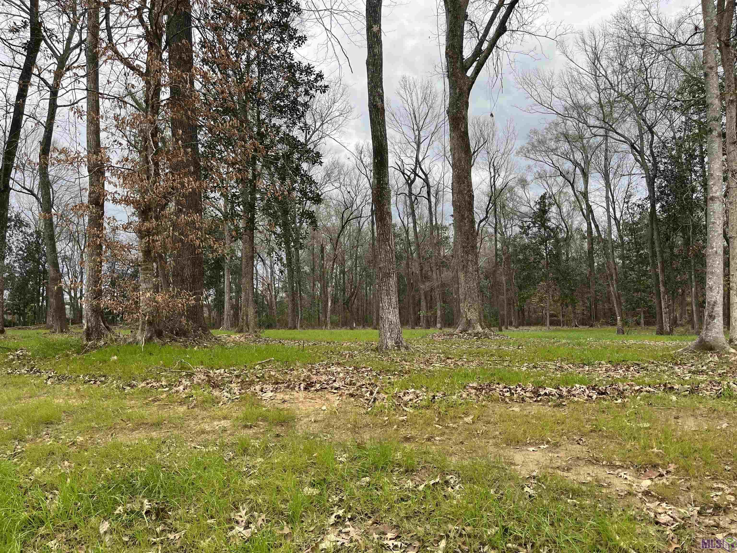 0 Lemon Road Slaughter, LA 70777 - Photo 3 of 7