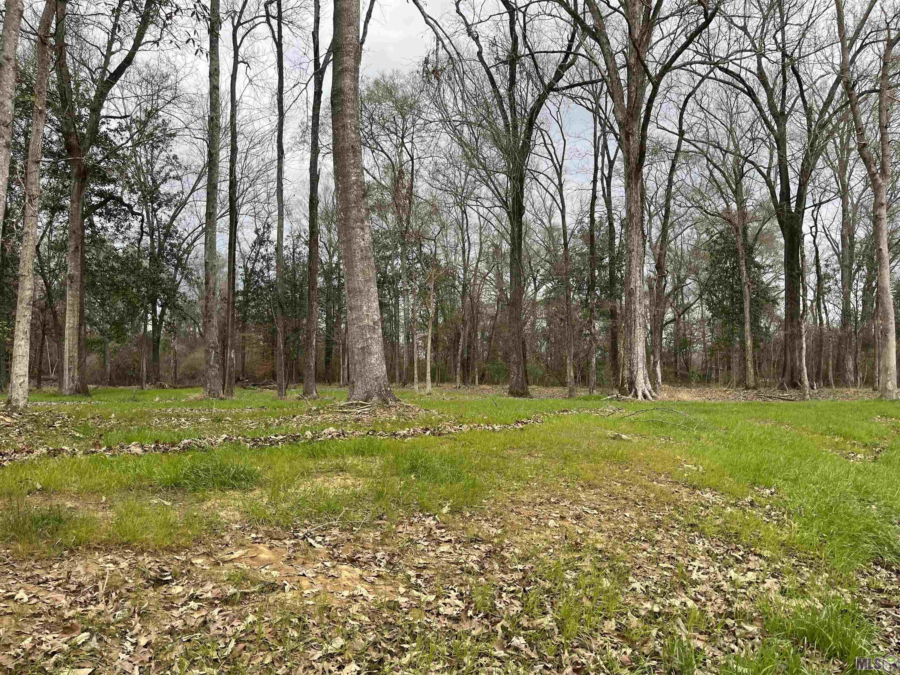 0 Lemon Road Slaughter, LA 70777 - Photo 4 of 7